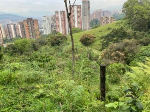 Imagen extraída de https://davivienda-bienes-cms.s3.amazonaws.com/000000002377_4_b0ceed6286.jpg