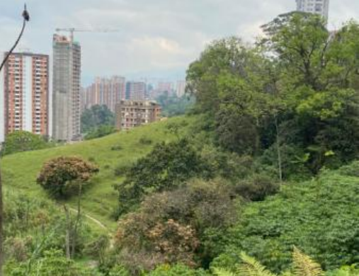 Imagen extraída de https://davivienda-bienes-cms.s3.amazonaws.com/000000002377_5_4bdf27cf97.jpg