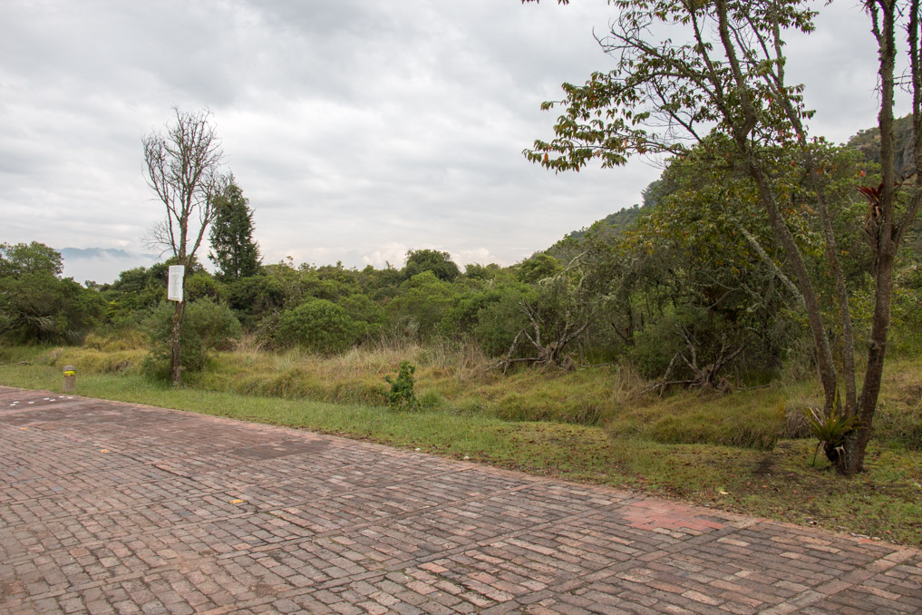 Imagen extraída de https://davivienda-bienes-cms.s3.amazonaws.com/00_9307_Lote_A_4_Parcelacion_SINDAMANOY_Vereda_Yerbabuena_Chia_Cundinamarca_LADO_B_1beb25e365.jpg