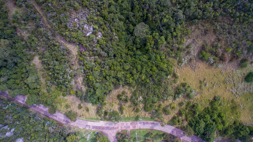 Imagen extraída de https://davivienda-bienes-cms.s3.amazonaws.com/00_9307_Lote_A_4_Parcelacion_SINDAMANOY_Vereda_Yerbabuena_Chia_Cundinamarca_LADO_D_86e49e6425.jpg