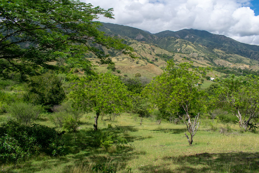 Imagen extraída de https://davivienda-bienes-cms.s3.amazonaws.com/03_0977_LOTE_2_B_2_ETAPA_2_FASE_1_PROYECTO_VILLAS_DE_LA_ANTIGUA_VEREDA_LA_GUANABANA_VISTA_3_d1fe9d32e3.jpg