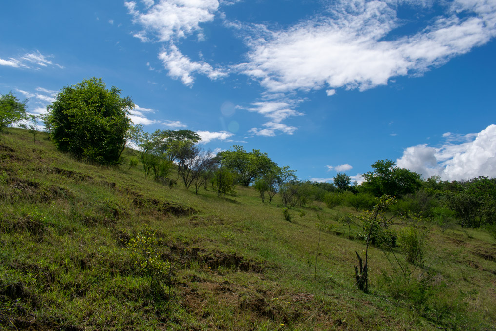 Imagen extraída de https://davivienda-bienes-cms.s3.amazonaws.com/03_0977_LOTE_2_B_2_ETAPA_2_FASE_1_PROYECTO_VILLAS_DE_LA_ANTIGUA_VEREDA_LA_GUANABANA_VISTA_4_7ff4f25bc8.jpg