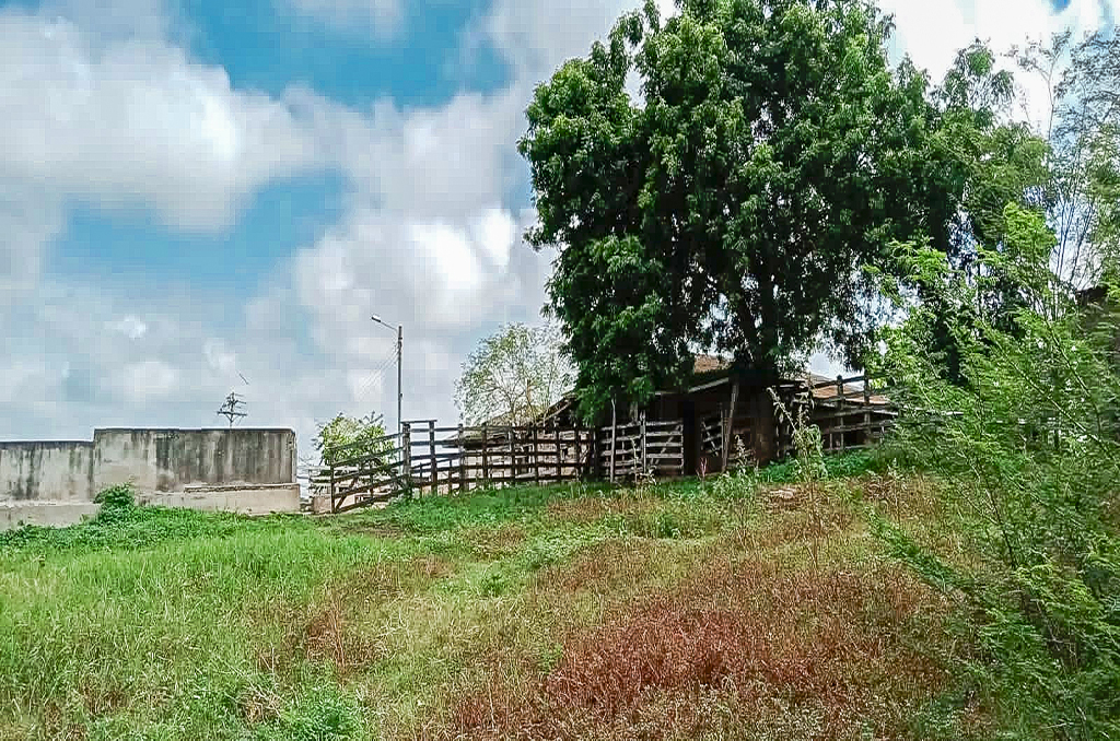Fondo del activo