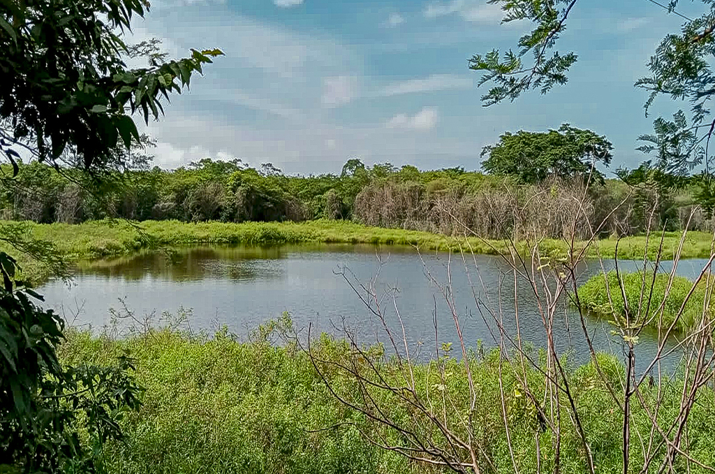 Imagen extraída de https://davivienda-bienes-cms.s3.amazonaws.com/2_Finca_3edc7ed096.jpg