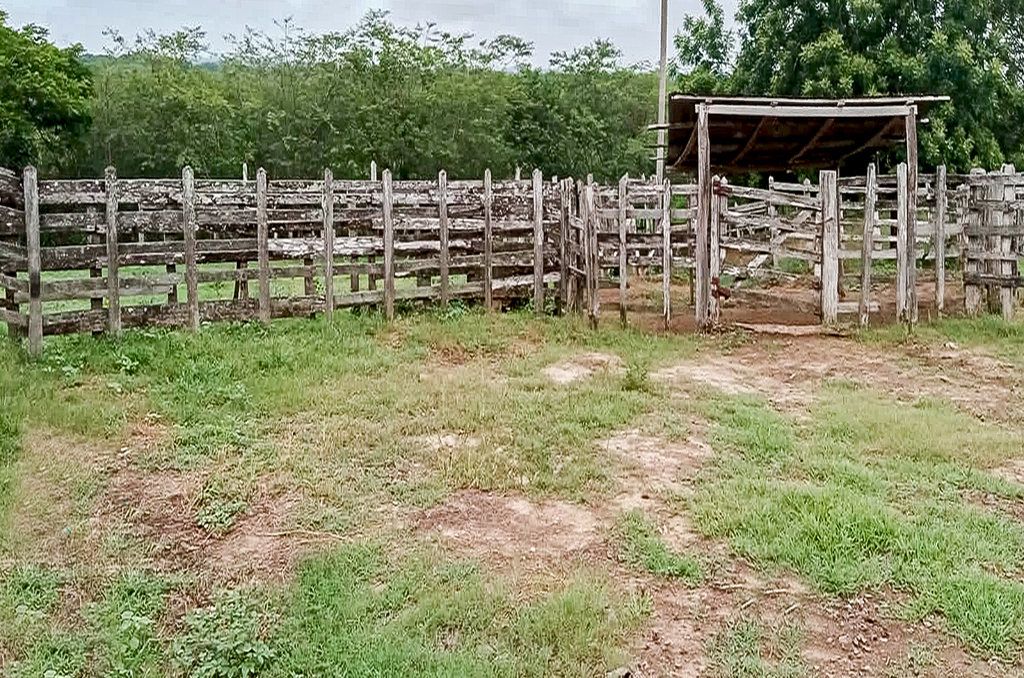 Imagen extraída de https://davivienda-bienes-cms.s3.amazonaws.com/2_Finca_a69a0effd2.jpg