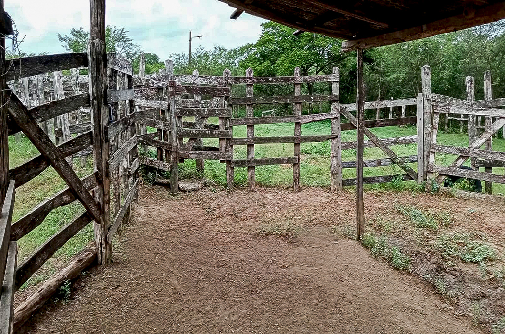 Imagen extraída de https://davivienda-bienes-cms.s3.amazonaws.com/3_Finca_4ce99b0251.jpg