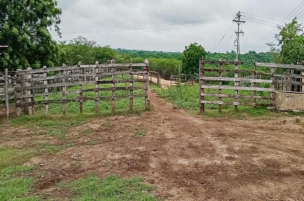 Imagen extraída de https://davivienda-bienes-cms.s3.amazonaws.com/3_Finca_7d4c35fe2e.jpg