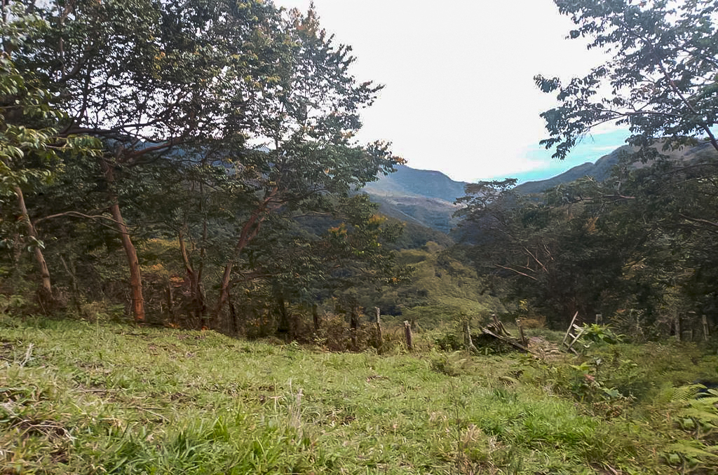 Imagen extraída de https://davivienda-bienes-cms.s3.amazonaws.com/3_Lote_0493d6bd8a.jpg