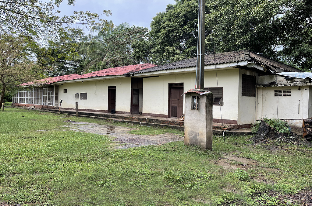 Imagen extraída de https://davivienda-bienes-cms.s3.amazonaws.com/3_Lote_1ca0df08ba.jpg