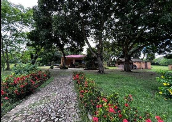 Imagen extraída de https://davivienda-bienes-cms.s3.amazonaws.com/4583d_2884_3_28d2adfede.png