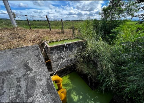 Imagen extraída de https://davivienda-bienes-cms.s3.amazonaws.com/4a52d_2883_4_57fa2b4c7c.png