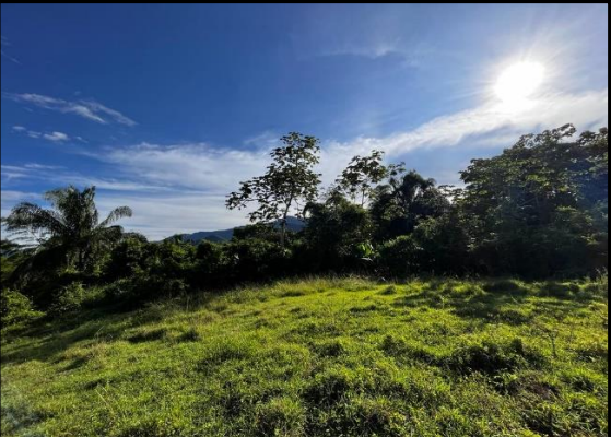 Imagen extraída de https://davivienda-bienes-cms.s3.amazonaws.com/5deec_2887_6_db608f7e8a.png