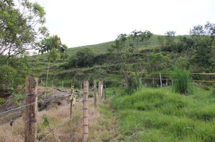 Imagen extraída de https://davivienda-bienes-cms.s3.amazonaws.com/7_Lote_bb3af0f11c.jpg