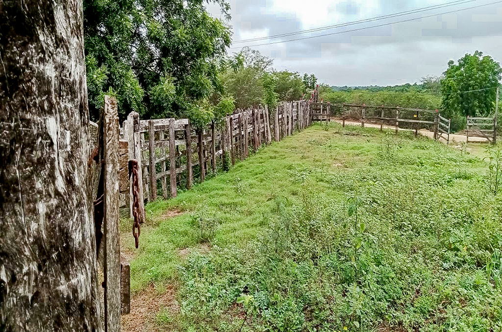 Imagen extraída de https://davivienda-bienes-cms.s3.amazonaws.com/8_Finca_89869210c3.jpg