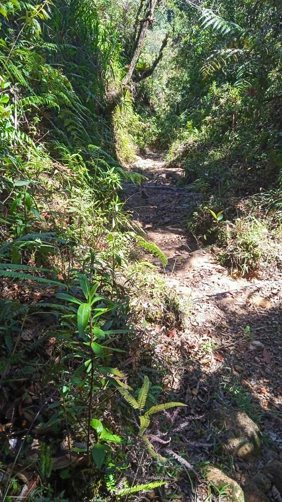 Imagen extraída de https://davivienda-bienes-cms.s3.amazonaws.com/8_Lote_d56009b56f.jpg