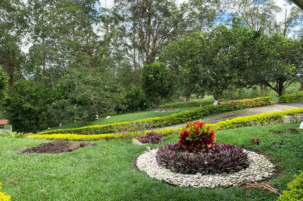 Imagen extraída de https://davivienda-bienes-cms.s3.amazonaws.com/8_Patio_6eadec4d4e.jpg
