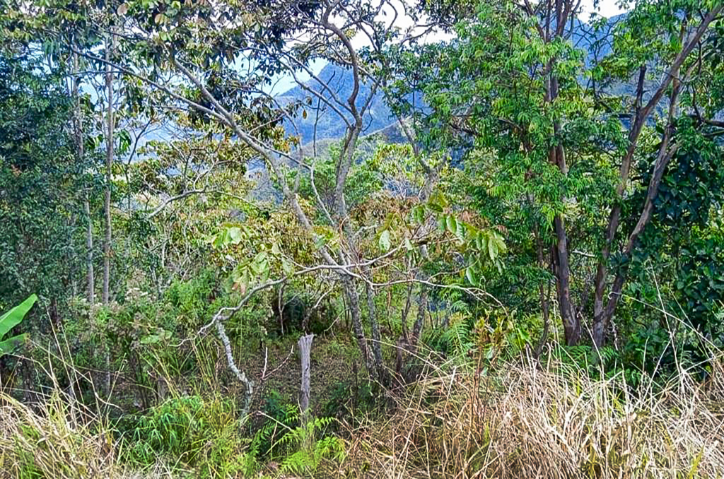 Imagen extraída de https://davivienda-bienes-cms.s3.amazonaws.com/9_Lote_c2786ea761.jpg