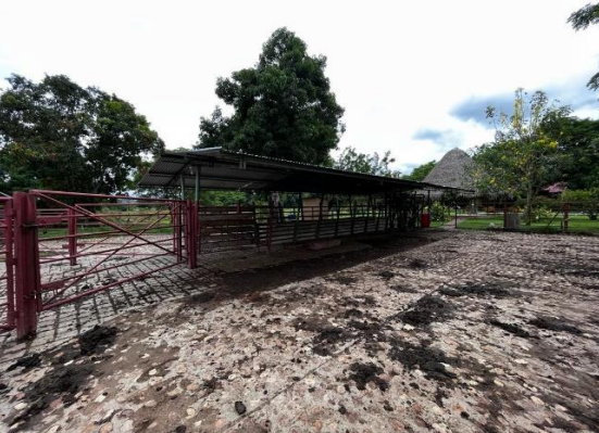Imagen extraída de https://davivienda-bienes-cms.s3.amazonaws.com/e9d35_2884_8_fe91470d2e.png